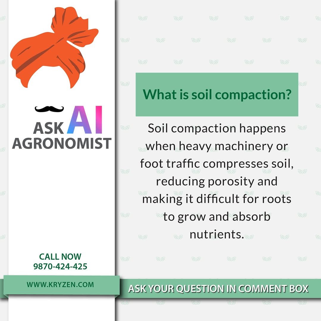 Photo by Kryzen Biotech on April 27, 2026. May be a graphic of magazine, poster, seedlings, seedling and text that says '광생 হাফ 力 百皮 肉克 មា. ပည 空存 Co 公造 319 판\드 សម សីកនីឺ 白皮 광이역 EUS What is soil compaction? បាល ASK AI AGRONOMIST 知分 西店 Soil compaction happens when heavy machinery or foot traffic compresses soil, 데신 reducing porosity and making it difficult for roots to grow and absorb nutrients. ផាង្់ ဒမ် 판터 맞면 CALLNOW CALL NOW 9870-424-425 色恩 BU9 税酒 2 ๑๗ WWW.KRYZEN.COM BVS ម០០ ASK YOUR QUESTION IN COMMENT'.