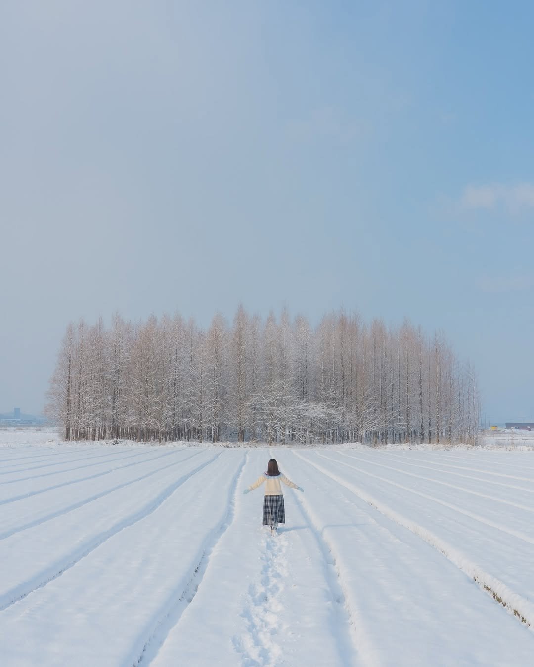 Photo by 대한민국 구석구석 | 국내여행 가이드 on November 29, 2025. May be an image of arctic, nature, snow and text.
