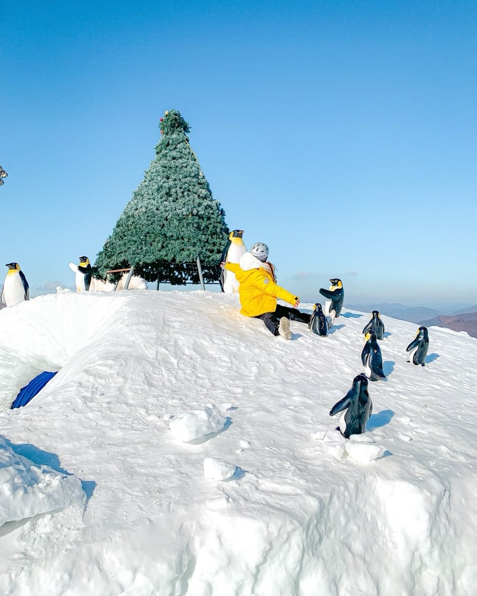 Photo by 대한민국 구석구석 | 국내여행 가이드 on January 02, 2026. May be an image of snowboarding, penguin, christmas tree, snowsuit, ski, snowman, ski slope, snow and text.