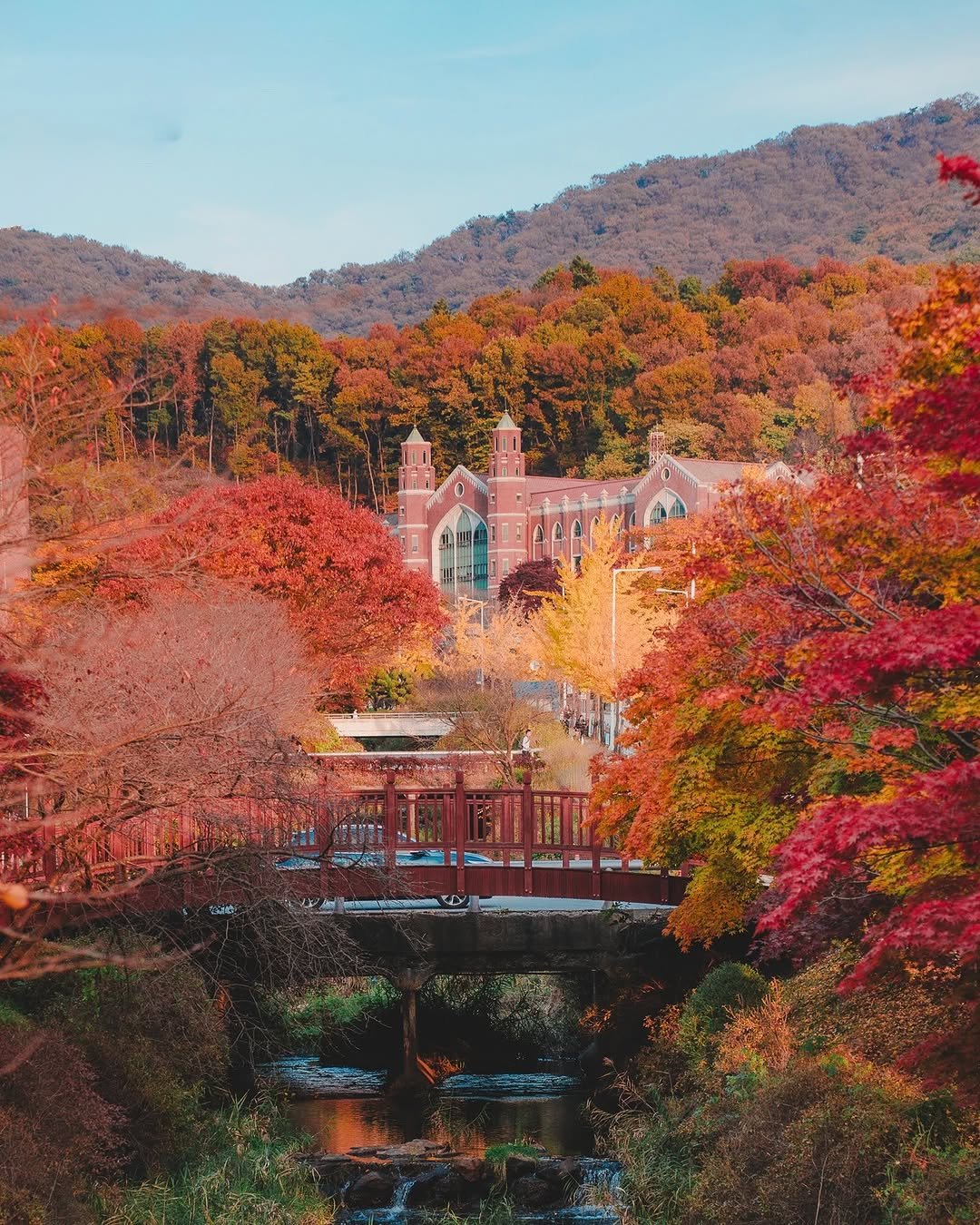 Photo by 대한민국 구석구석 | 국내여행 가이드 on November 16, 2025. May be an image of nature and text.