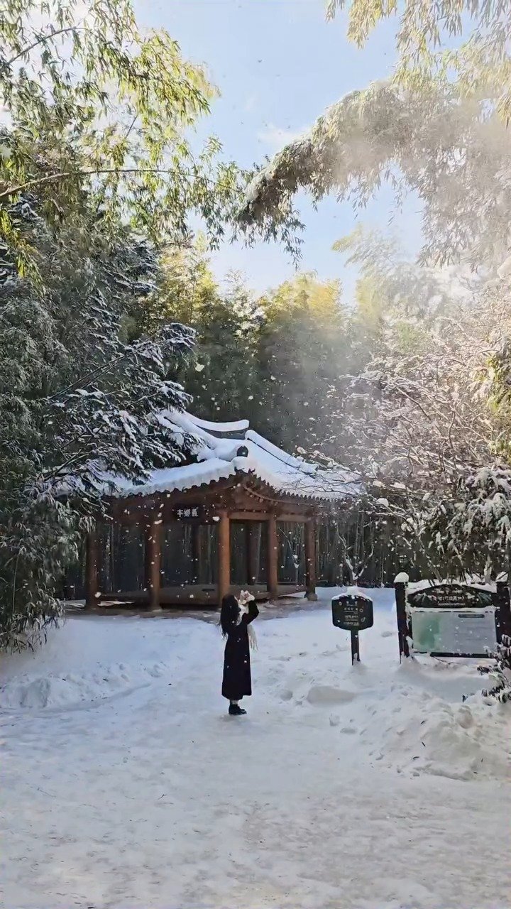 kto9suk9suk 게시물 이미지: 하얀 눈과 선명한 초록을 한눈에 담을 수 있는
#담양 #죽녹원🎋❄️

하얀 설경...