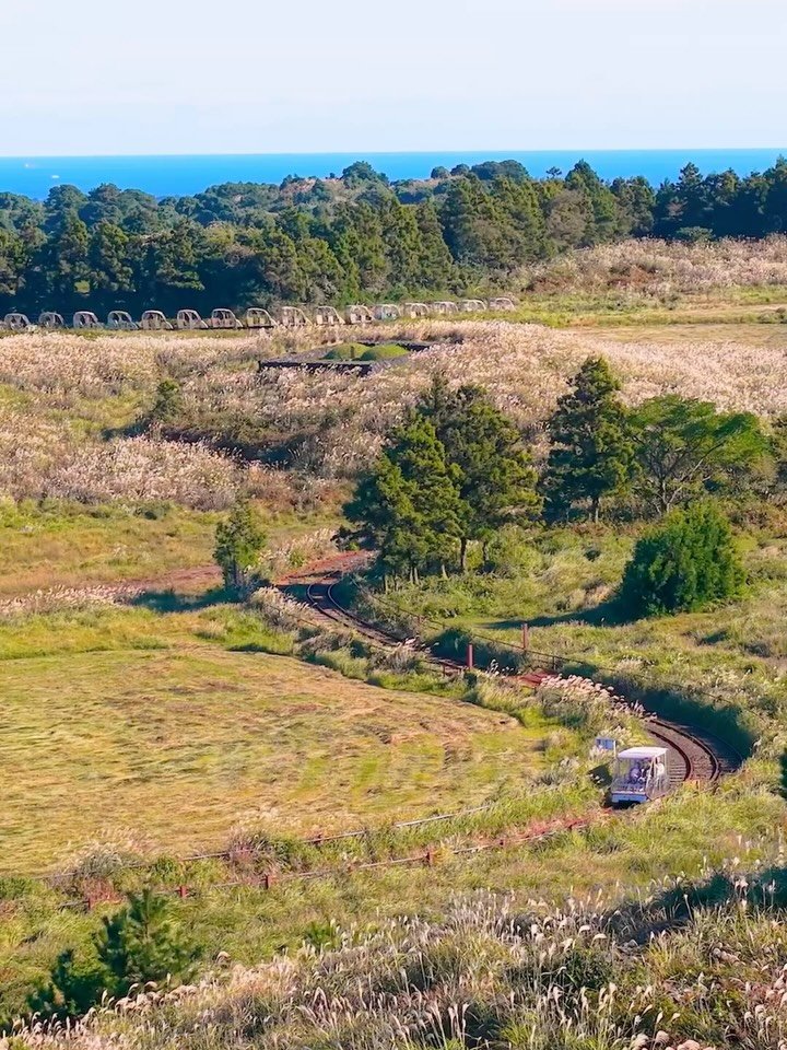 kto9suk9suk 게시물 이미지: 노을+억새+바다=극락 그자체💛 #제주 여행

지금 꼭 가야 할 제주 여행 코스...