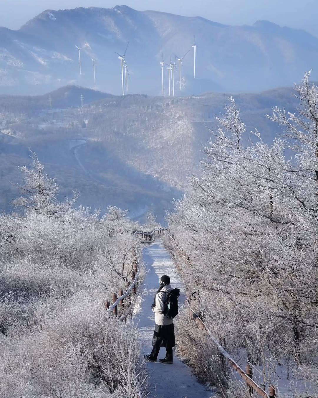 Photo by 대한민국 구석구석 | 국내여행 가이드 on January 09, 2026. May be an image of windmill, ski slope, the Great Wall of China and text.