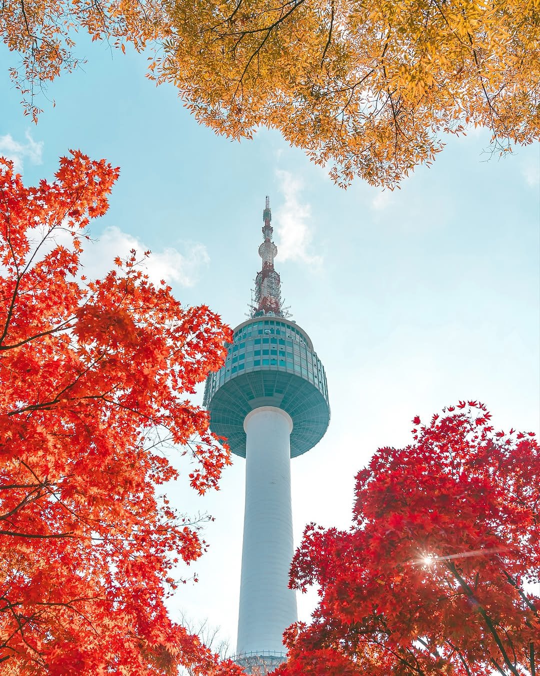 Photo by 대한민국 구석구석 | 국내여행 가이드 on November 14, 2025. May be an image of Tokyo Tower and text.
