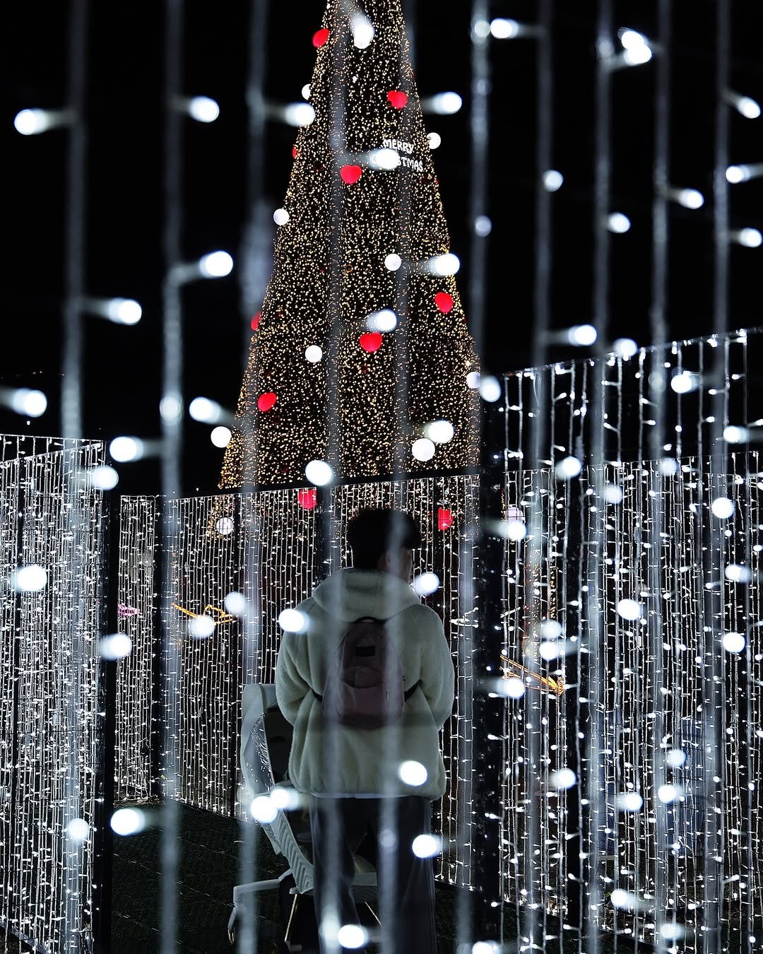 Photo by 대한민국 구석구석 | 국내여행 가이드 on January 06, 2026. May be an image of christmas tree, tinsel, lightbulb and text.