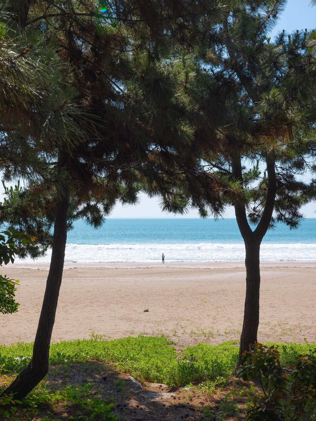 kumas_pic 게시물 이미지: 고흥에서 느끼는 호주감성 바다.

남열 해돋이 해수욕장🏖️

이렇게 좋은데...