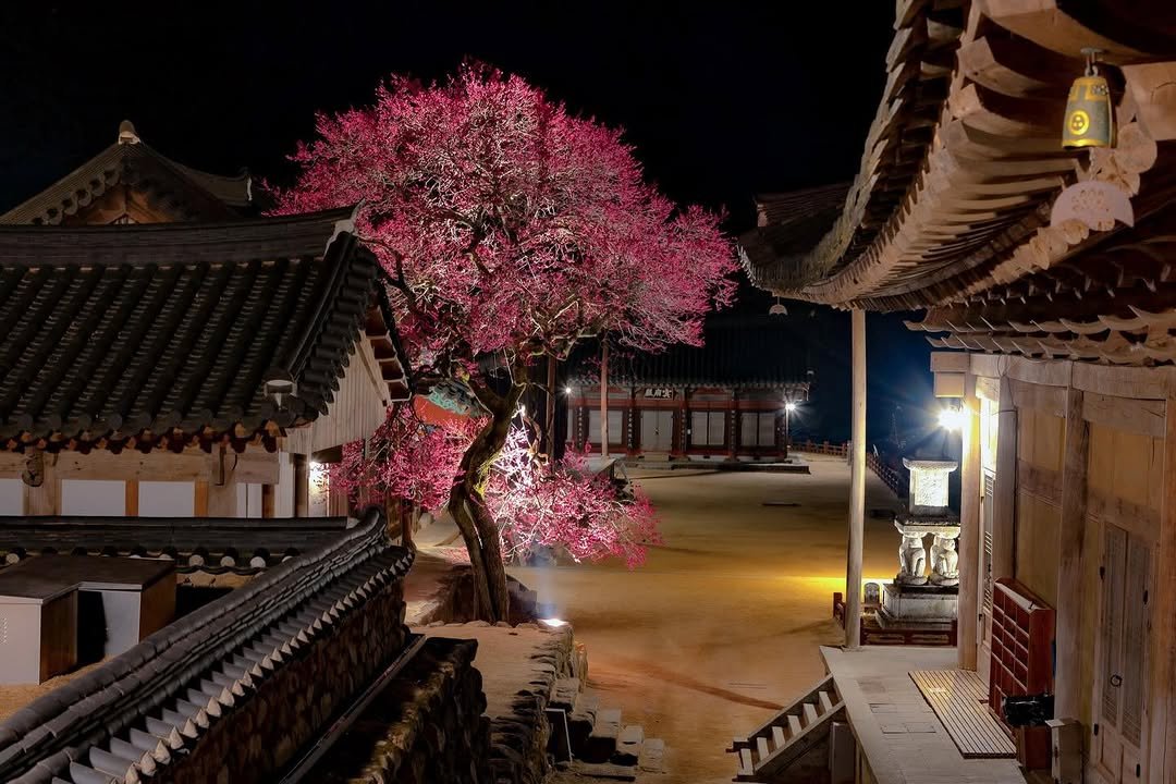 Photo by 쿠마스 | 남도여행 포토 크리에이터 in 구례 화엄사 with @canonkorea. May be an image of temple, Gyeongbokgung Palace and text.