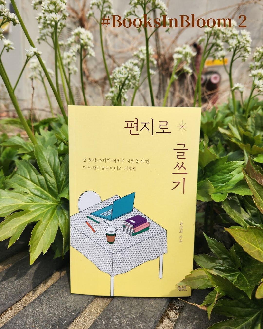 Photo by 궁리출판 on April 02, 2026. May be an image of book, baby's-breath and text that says '#BooksinBloom #Books Bloom 2 첫문삼보기가이려온사람을위한 쓰기가어려은 어려운 사람을 위한 첫 문잠 쓰기가 어느 어느펀지큐레이터의처방전 먼지 지큐레이터의 처방전 편지로 * 글 从 기 꽃게진 극 基吃中 H 숭 궁리'.