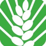 bori_book 프로필 사진