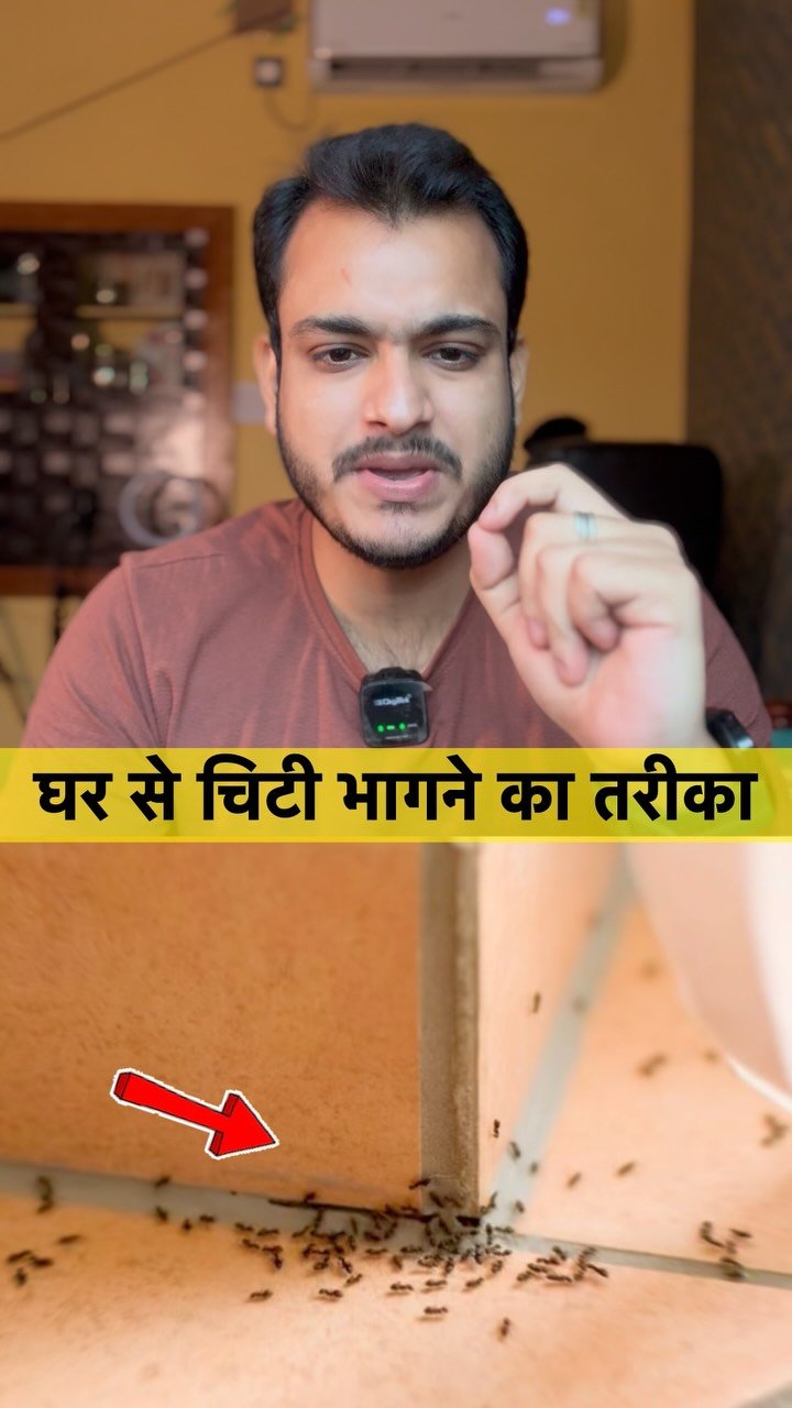 kushalbhadra 게시물 이미지: Remove Ant Easily From Home ! 🐜
#home...