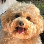 moll.bamm 프로필 사진