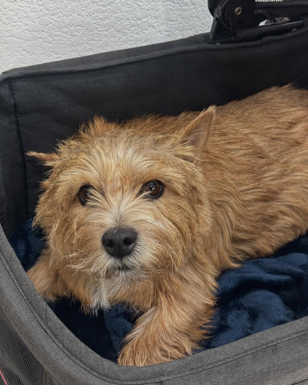 Photo by 권라떼🤎 on May 14, 2025.