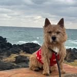 kwon.latte_ 인스타그램 프로필 사진