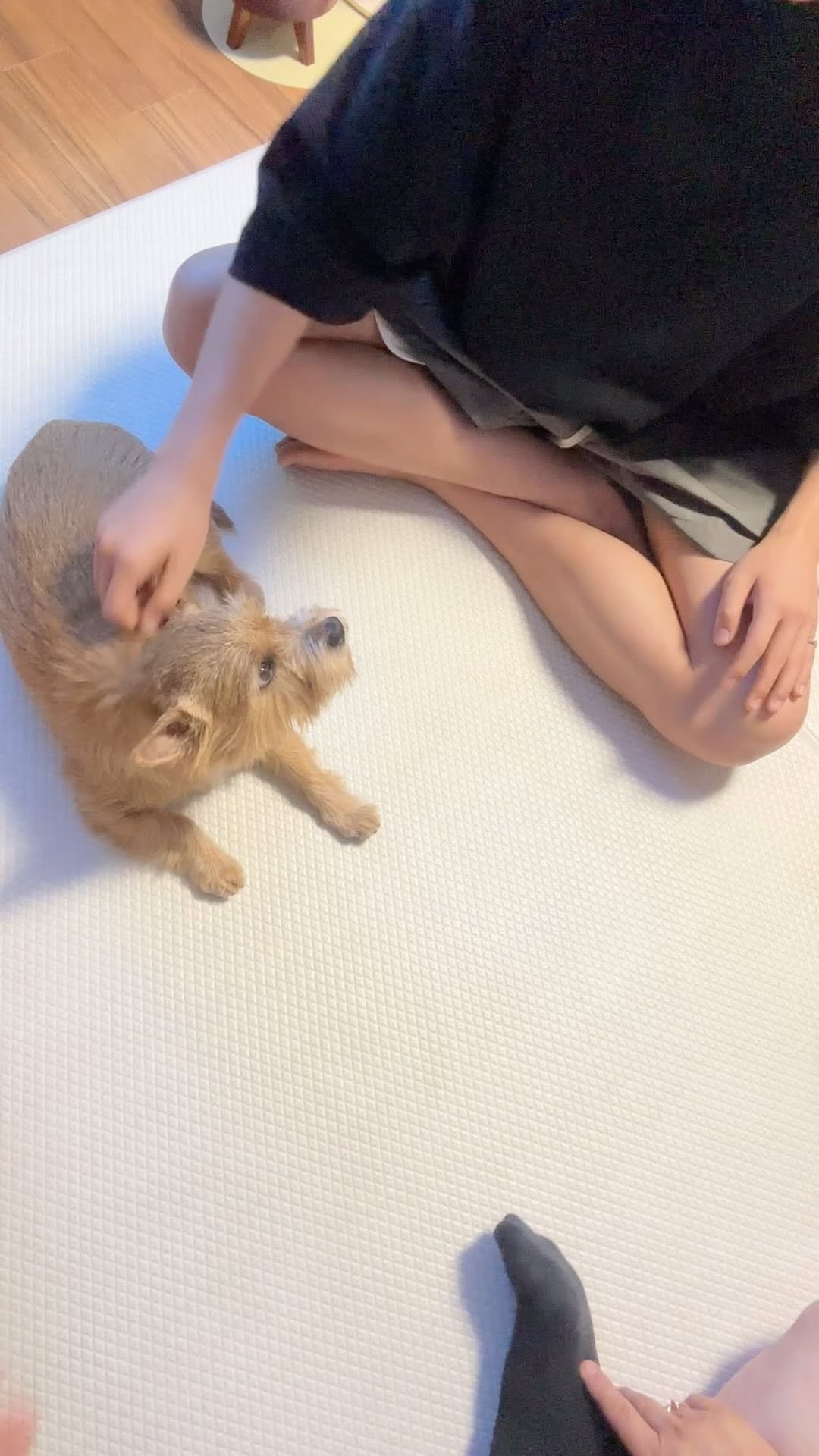 kwon.latte_ 게시물 이미지: 우리가족도 손모으기 도즈언~