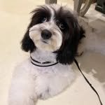 ii_m_legend 프로필 사진