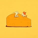 cheeze__official 프로필 사진