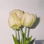 rladysk 프로필 사진