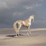 forourstar 프로필 사진