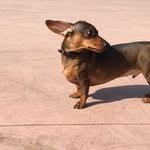 nayoung.e 프로필 사진