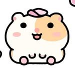 hada2ng 프로필 사진