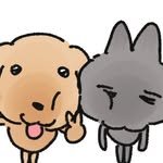 puppcac 프로필 사진
