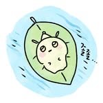 happy_ggyaroong 프로필 사진