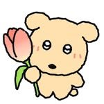 jobeam_studio 프로필 사진