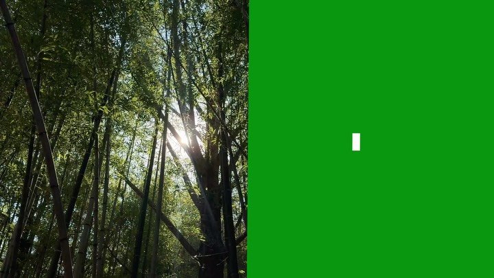 kyu.travel 게시물 이미지: 하루를 여행처럼 기록해보면

특별한 건 없었는데

이상하게 오래 기억에...