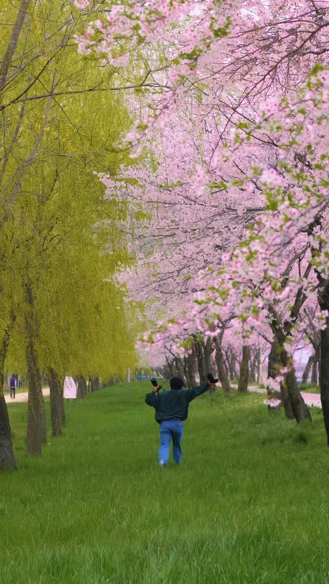 kyu.travel 게시물 이미지: 기다려온 봄🌸

벚꽃은 예쁜데
사람이 너무 많아서 아쉬웠던 적 있죠.

여긴 4월이...