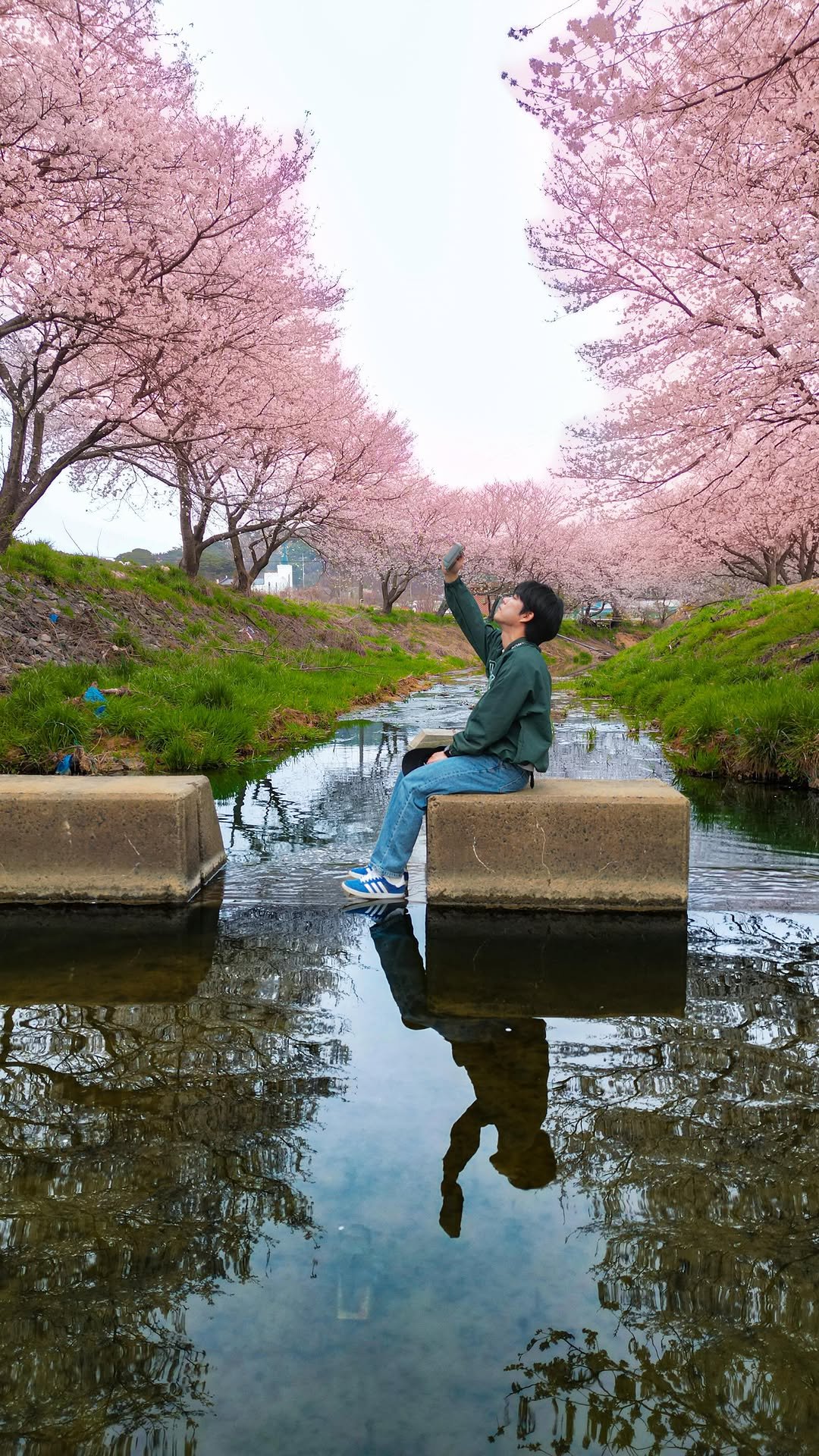 kyu.travel 게시물 이미지: 반영되는 벚꽃 여행지🌸

충남 당진에 이런 벚꽃길이 있다는거 알고 계셨나요...
