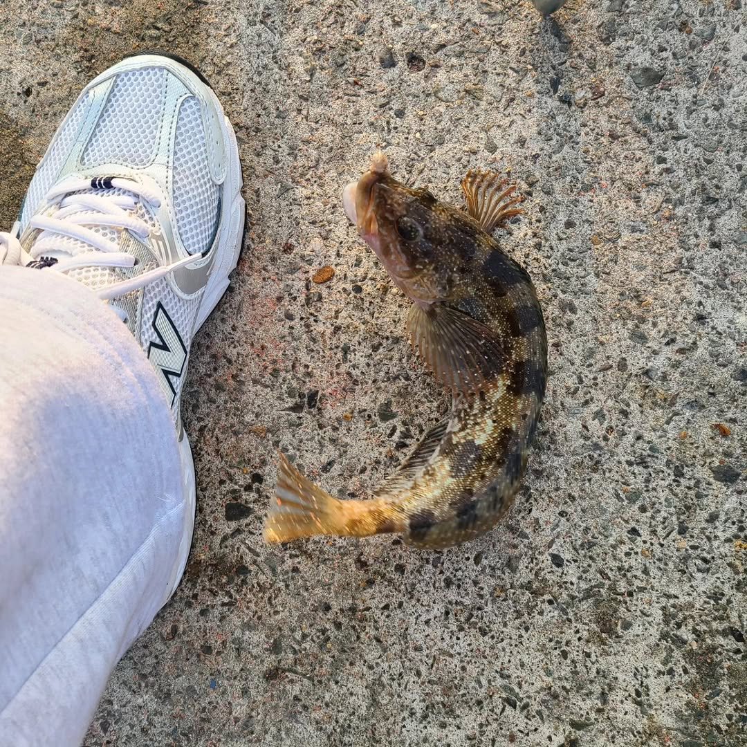 kyum_stagram_ 게시물 이미지: 올해 소원으로 한마리만 잡게해달라 빌었는데 진짜 한마리만 잡았다. 
ㅈ댔다....