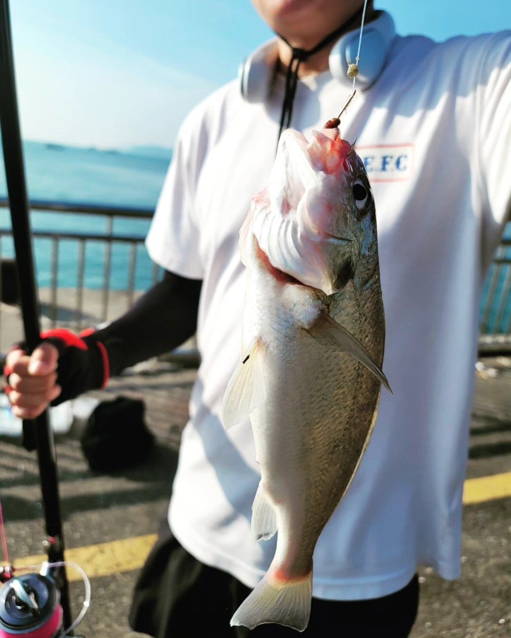 Photo by kyum on August 06, 2023.