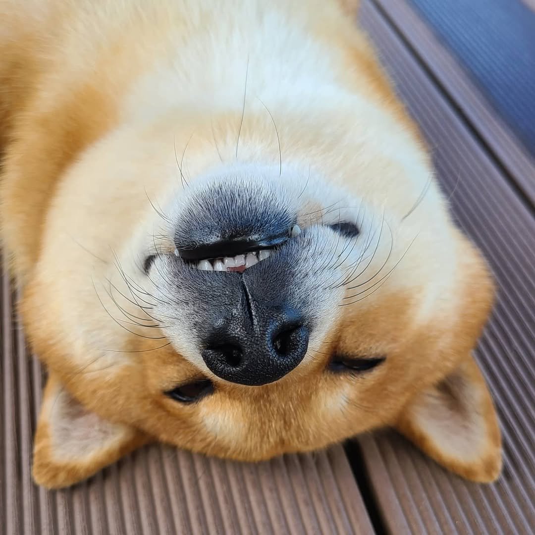 Photo by kyum on June 03, 2021.