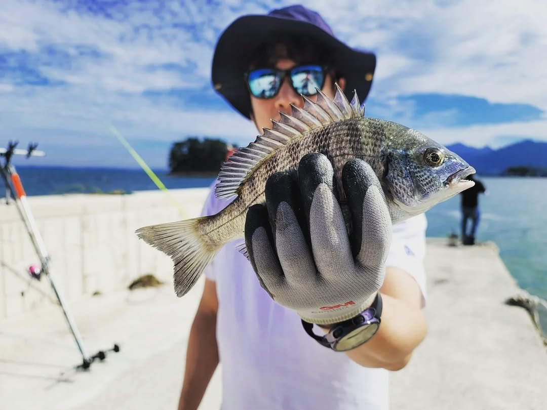 Photo by kyum on September 12, 2022.