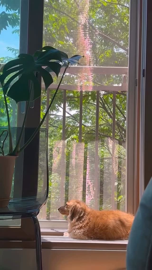 kyuseon726 게시물 이미지: 