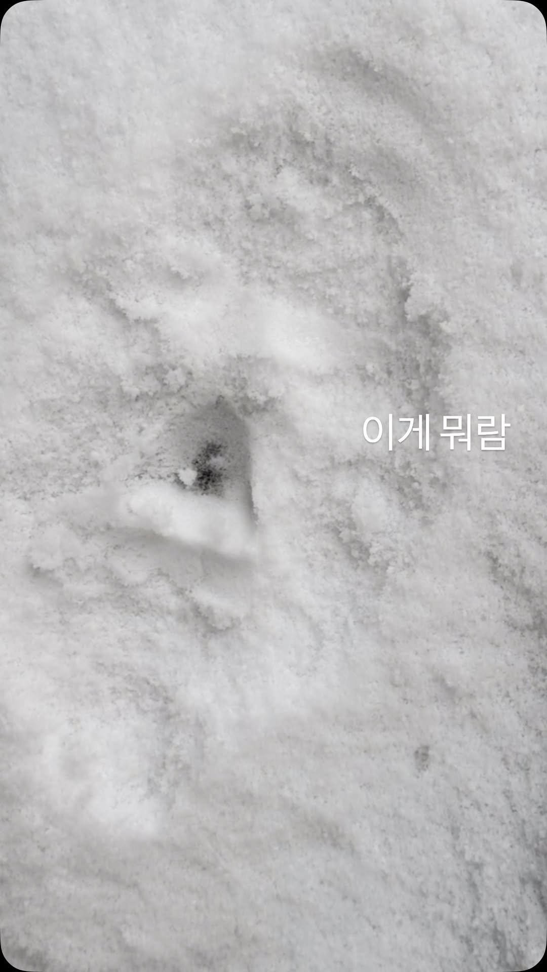 kyuseon726 게시물 이미지: 나두 해보고 싶었다구…
#얼굴도장 #눈