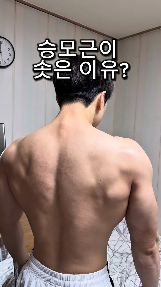 l_junghoon_ 게시물 이미지: 유독 승모근이 튀어 나와보이는 이유

운동을 잘못해서가 아니라 안 써서...