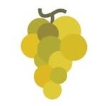 winescope_shop 프로필 사진