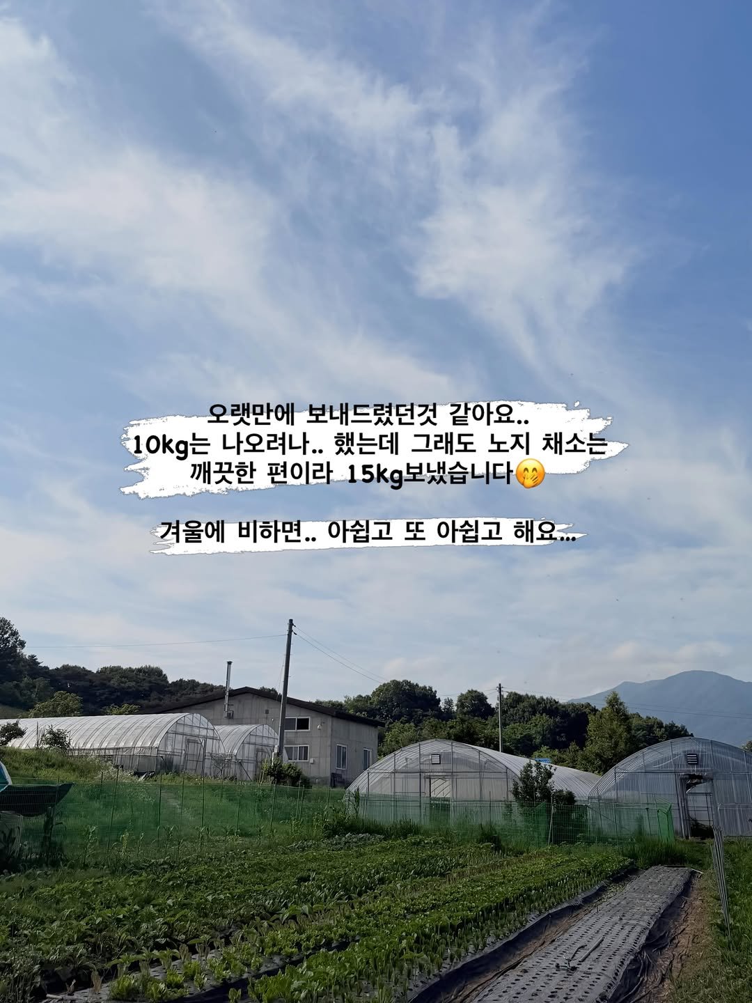 lalala_farm 게시물 이미지: 오늘 잠시 외출합니다. 

유기농 3년차가 되니 인증기관에서 채종도 해보는게...
