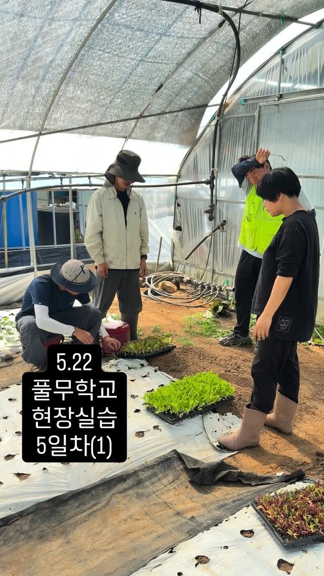 lalala_farm 게시물 이미지: 