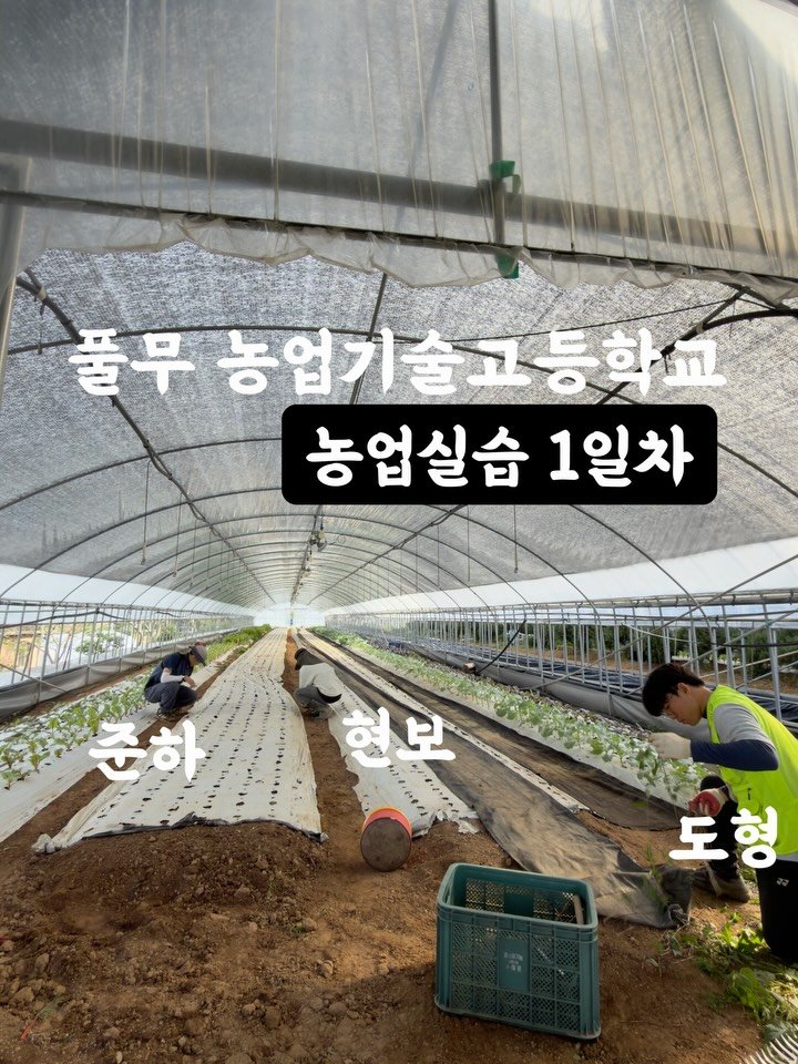 lalala_farm 게시물 이미지: 요번주까지는 배송이 소소합니다~! 
여름작기는 매년 쉬었는데요. 

소소하게나마...