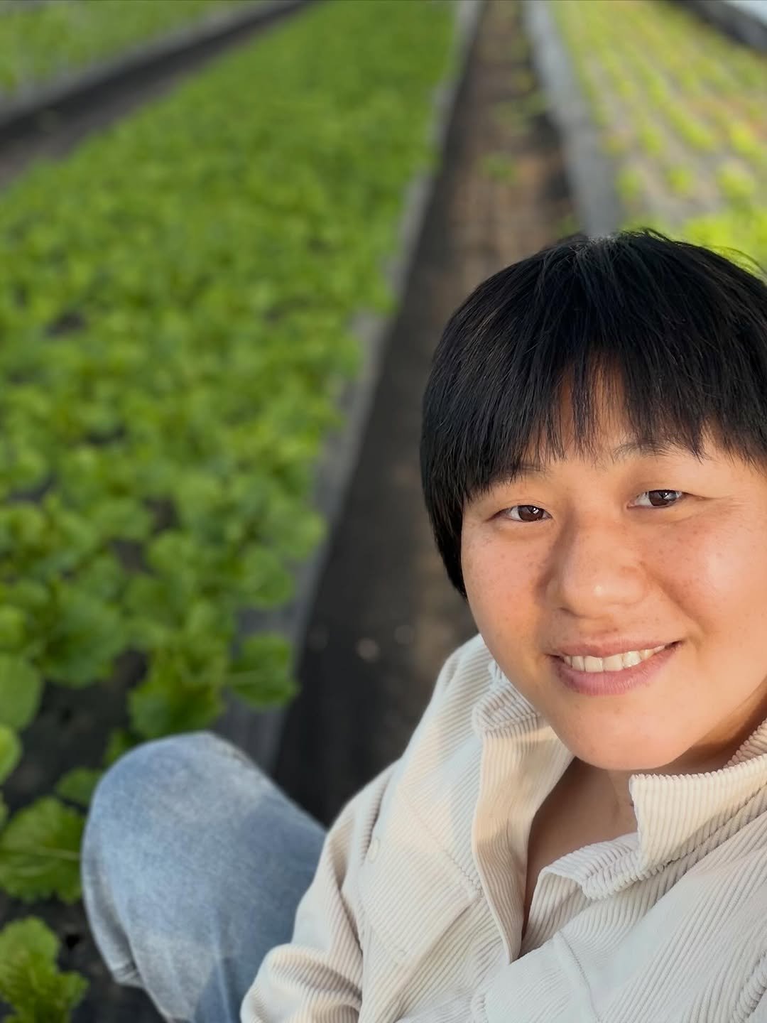 Photo by 라라라채소밭  쌈채소 & 허브판매 on November 20, 2025. May be an image of collard greens and text.