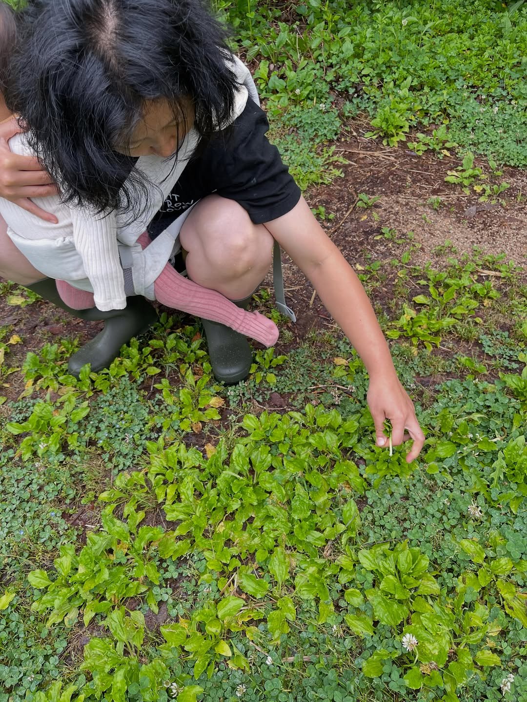 lalala_farm 게시물 이미지: 허브마더팅크처 실습을 5/21진행.  @lalala_farm 에서 했습니다....