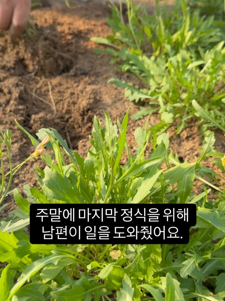 lalala_farm 게시물 이미지: 주말 잘 보내셨어요? 
벌써 겨울준비를 하는 라라라입니다. 

평소에는 혼자...
