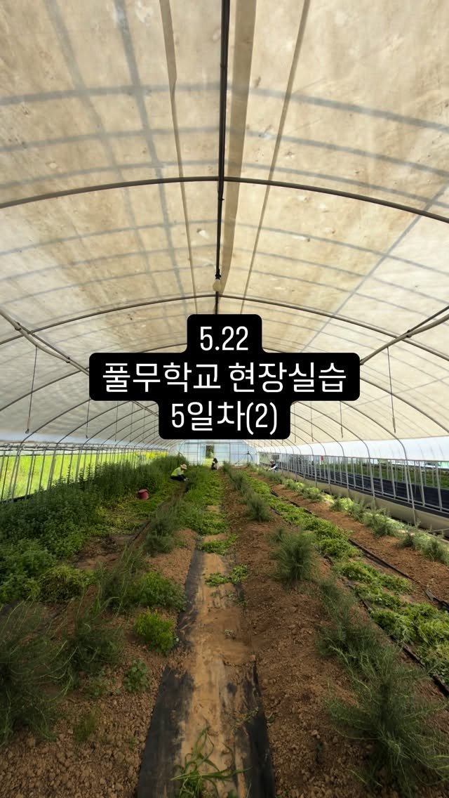 lalala_farm 게시물 이미지: 