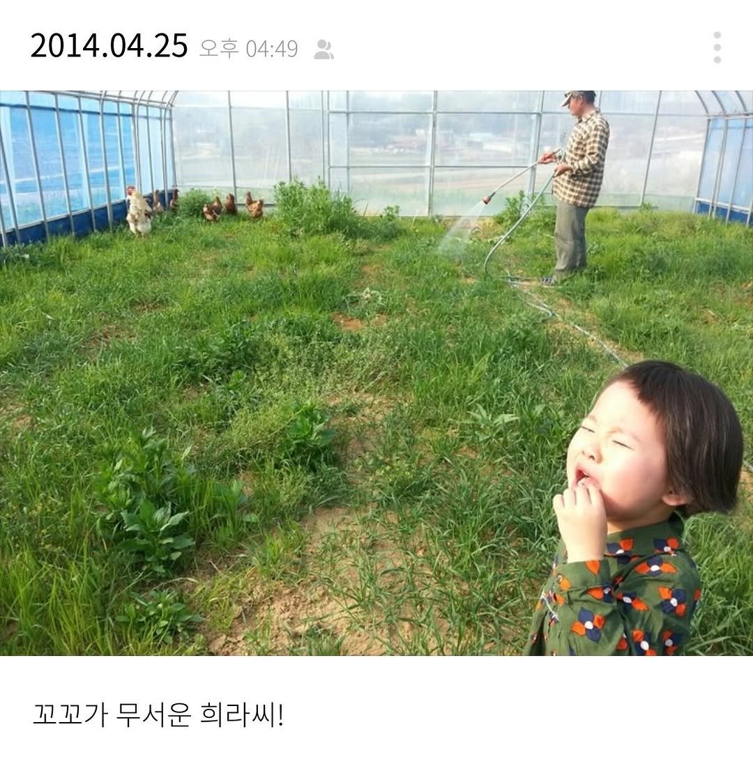 Photo by 라라라채소밭  쌈채소 & 허브판매 on November 20, 2025. May be an image of text that says '2014.04.25 04.25 오후 2014. 오후04:49 04:492 04:49 꼬꼬가무서운희라씨! 꼬꼬가 무서운 희라씨!'.