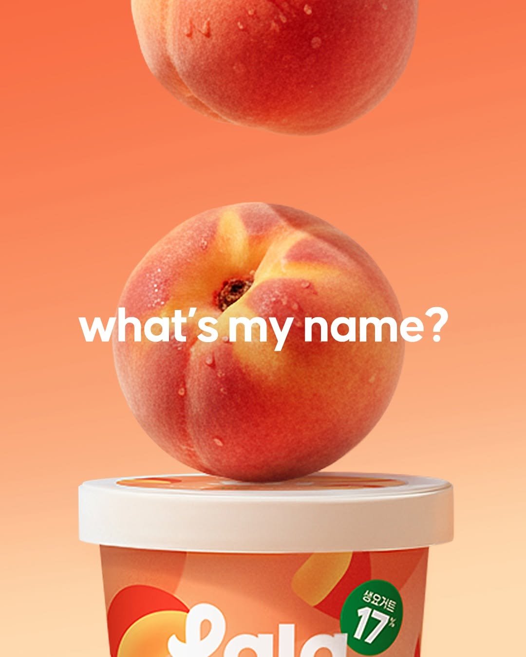 Photo by 라라스윗 on November 09, 2025. May be an image of text that says 'what' what'smyname? S my name? 생요거트 생요게트 Dalo17 17'.