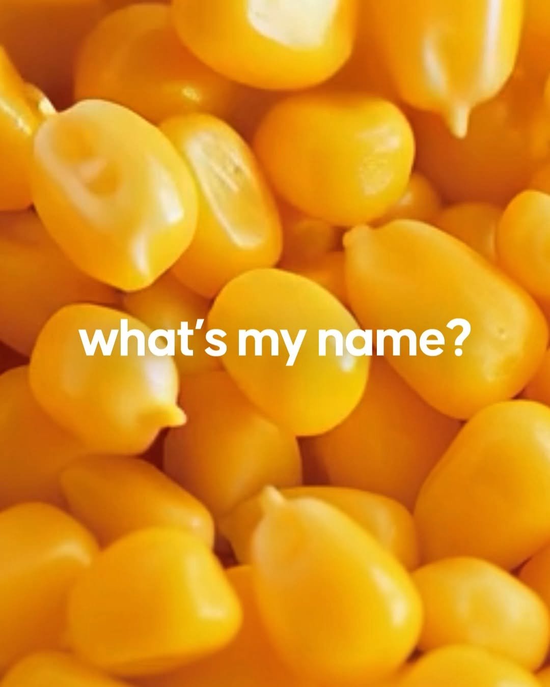 lalasweet_icecream 게시물 이미지: 쫀~득 옥수수 알갱이가 듬뿍! 🌽
역대급 토핑 가득 신상 아이스크림이 찾아왔어요...