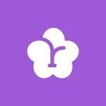 readybloom.official 프로필 사진