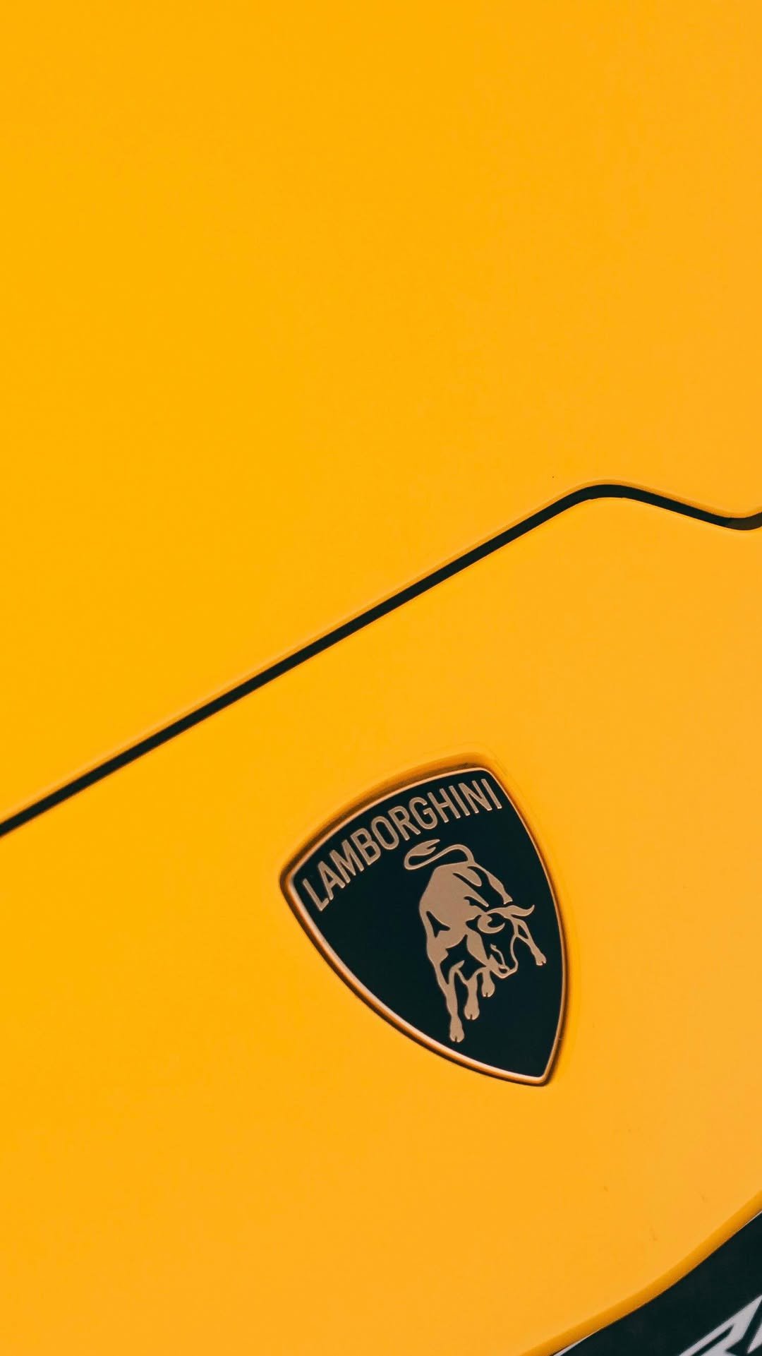 lamborghini 게시물 이미지: A year of daring, pushing limits, and creating...